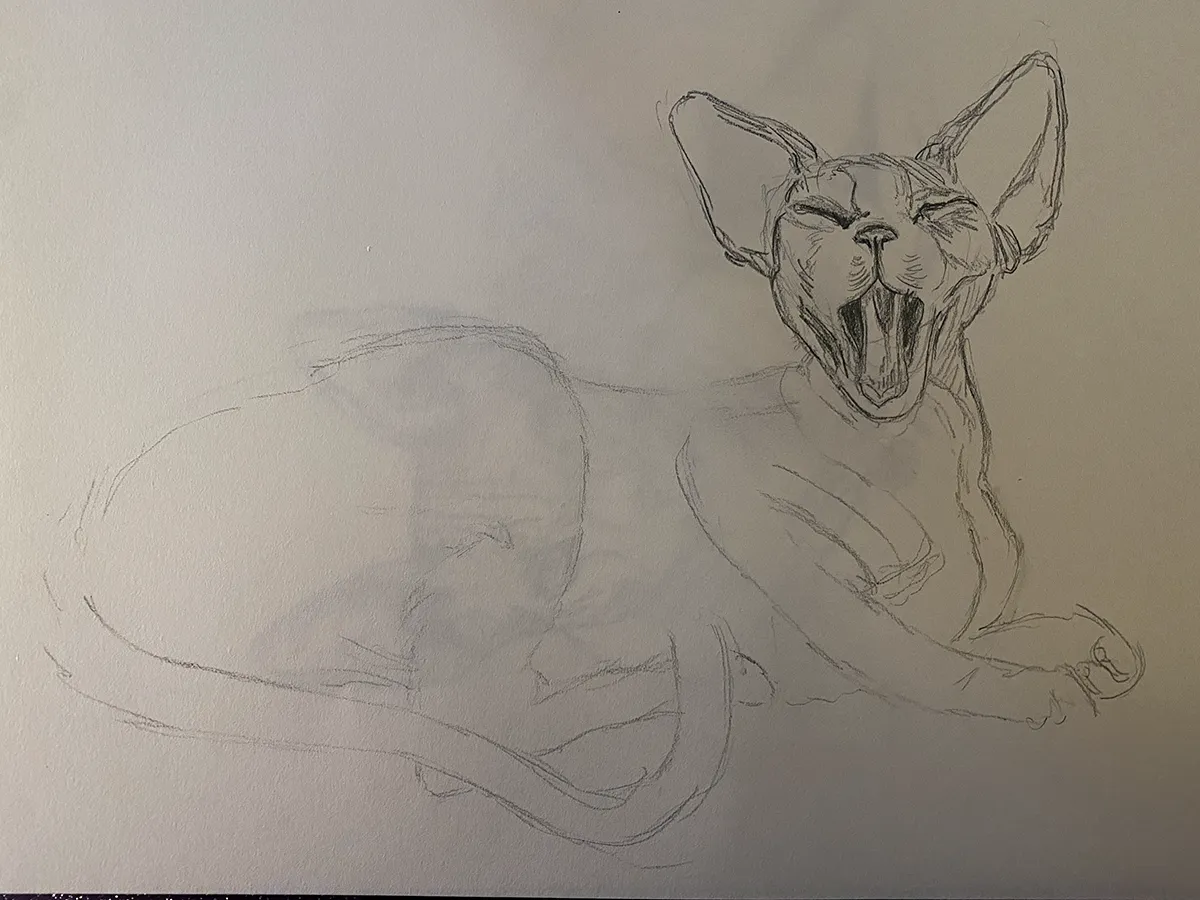 CARNET-OWD-Chat-Sphynx-KOSMIK Esquisse d'un chat sphynx au crayon de papier.