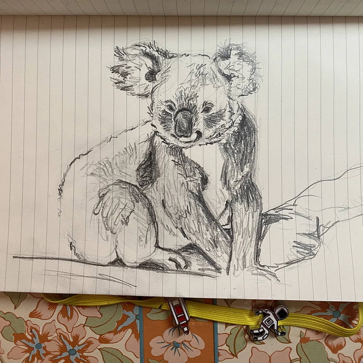 CARNET-OWD-Panda-KOSMIK Croquis d'un koala au crayon de papier.