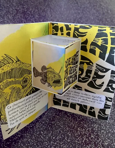Fanzine pop-up des illustrations du carnet des expressions anglaises.